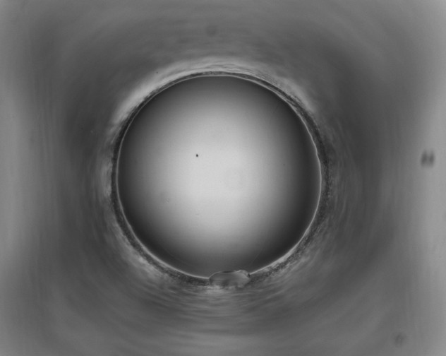 X0000097461504200802221200