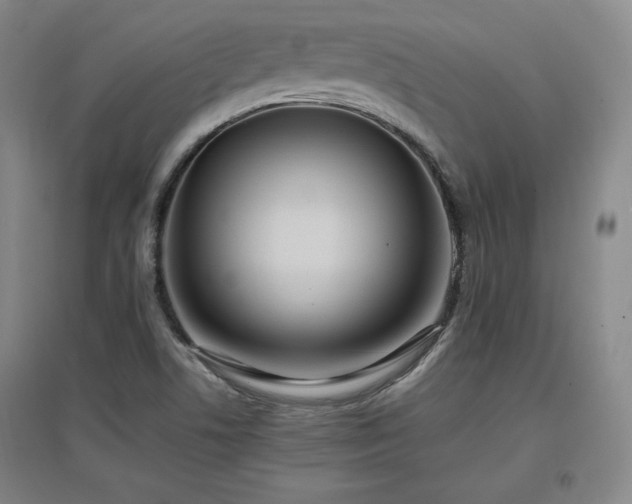 X0000097461506200802221200