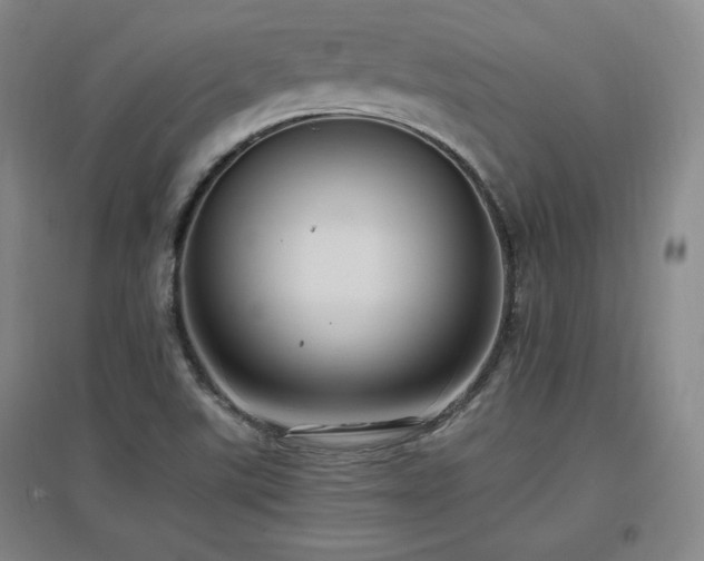 X0000097461507200802221200