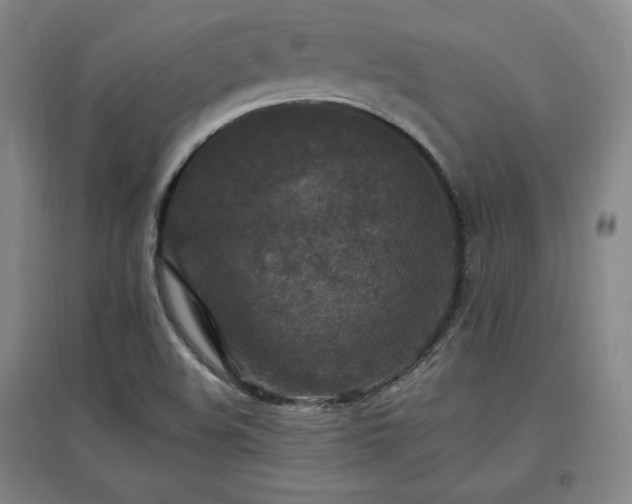 X0000097461508200802221200