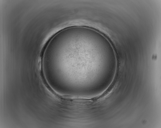 X0000097461509200802221200