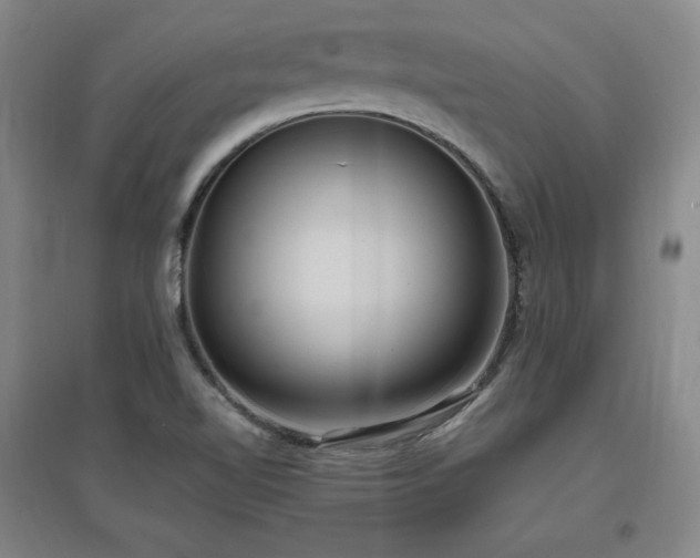 X0000097461510200802221200