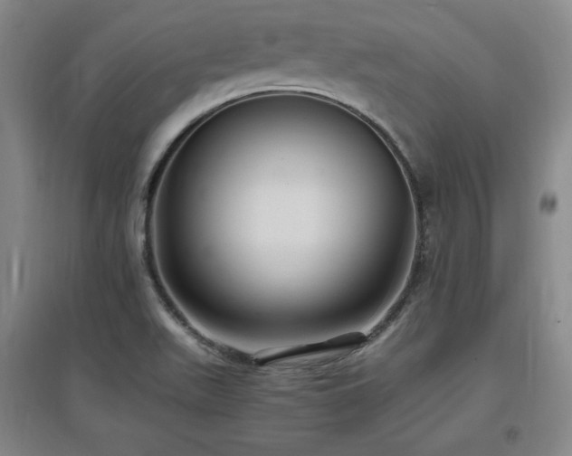 X0000097461511200802221200