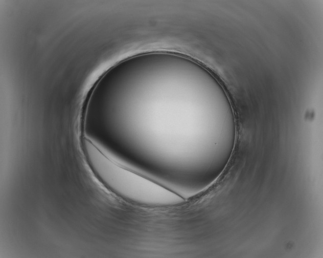 X0000097461512200802221200