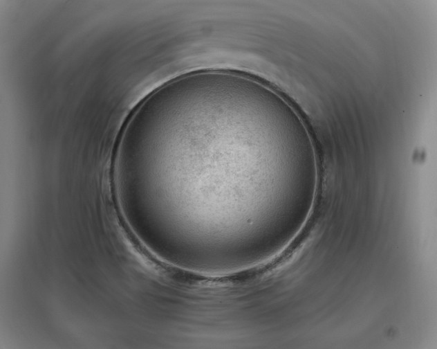 X0000097461513200802221200