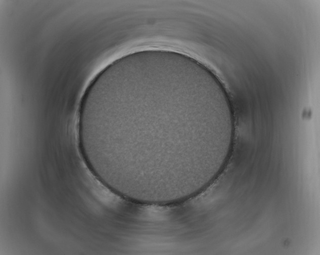 X0000097461514200802221200