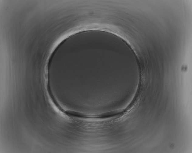 X0000097461515200802221200