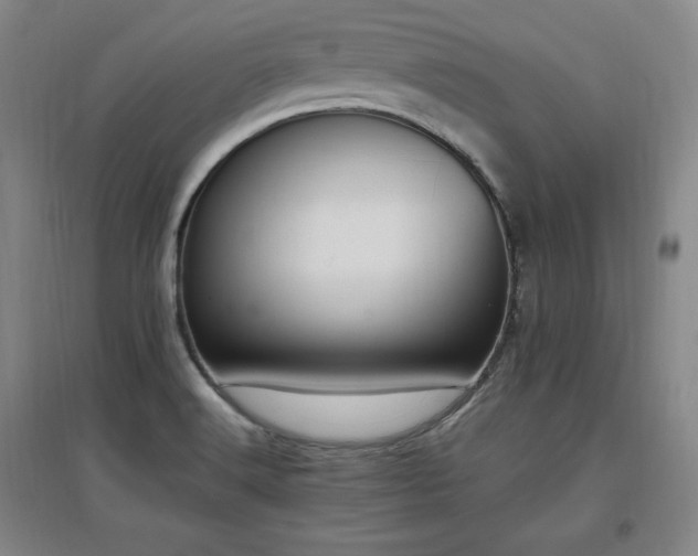 X0000097461516200802221200
