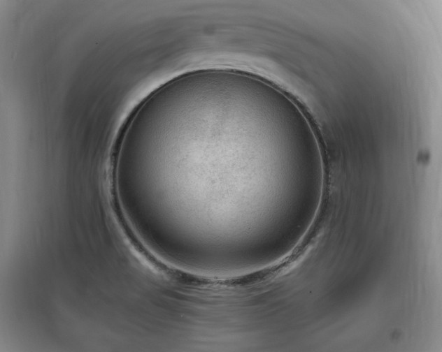 X0000097461517200802221200