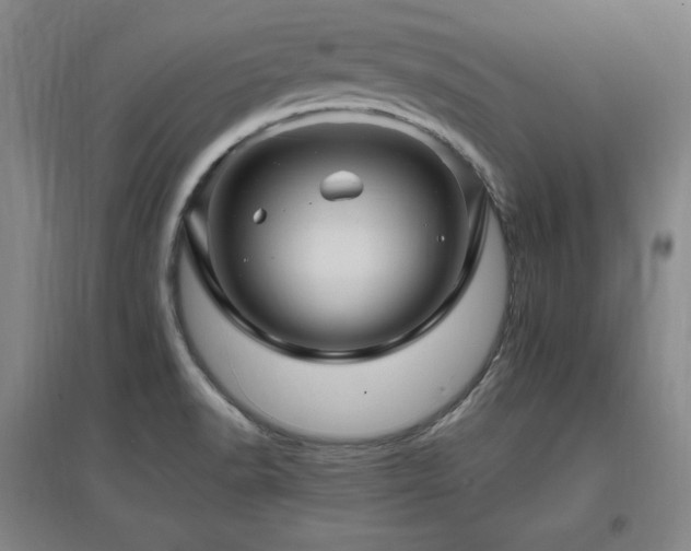 X0000097461518200802221200