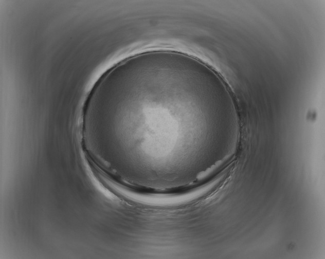 X0000097461519200802221200