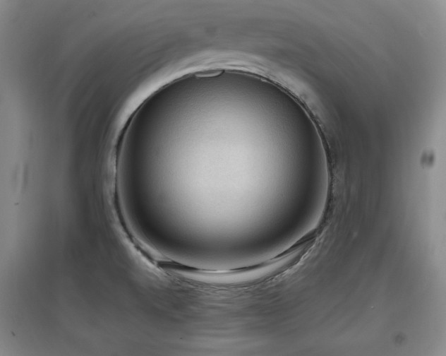 X0000097461520200802221200