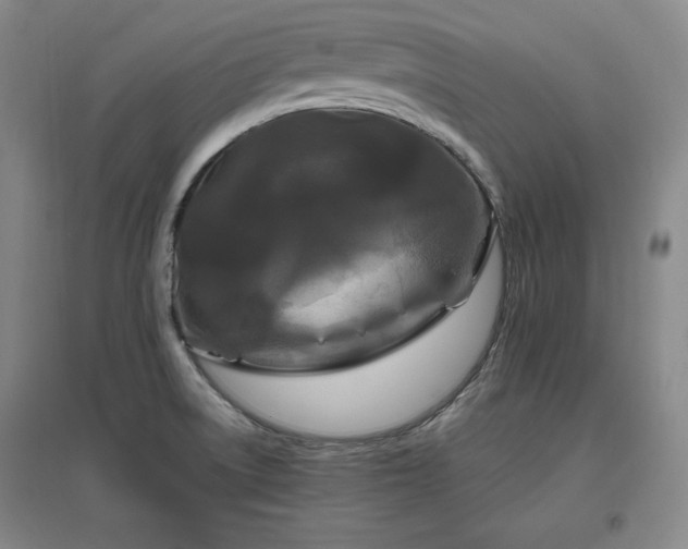X0000097461522200802221200