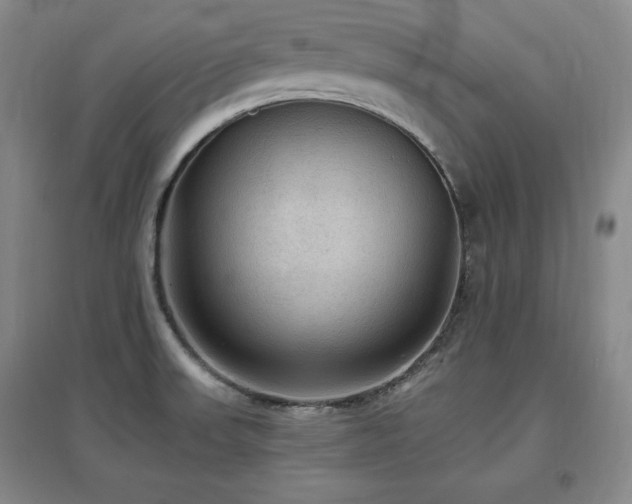X0000097461523200802221200