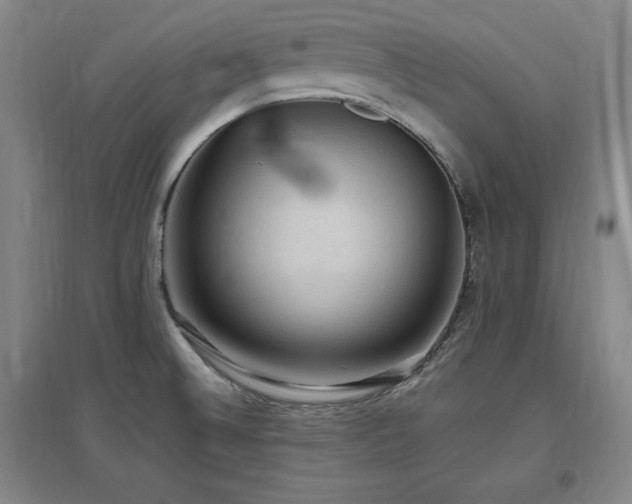 X0000097461524200802221200