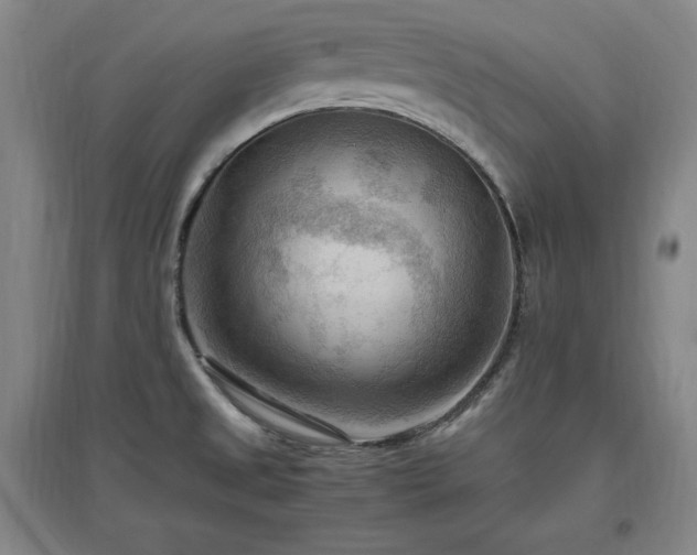 X0000097461525200802221200