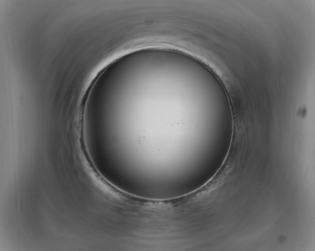 X0000097461526200802221200