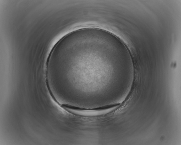 X0000097461527200802221200