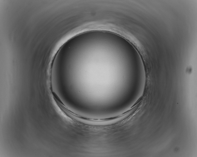 X0000097461528200802221200