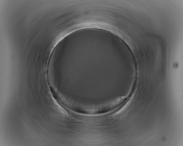 X0000097461529200802221200