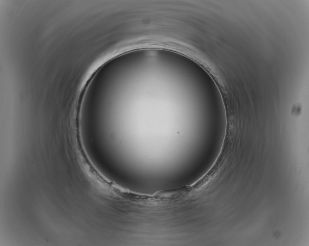 X0000097461530200802221200