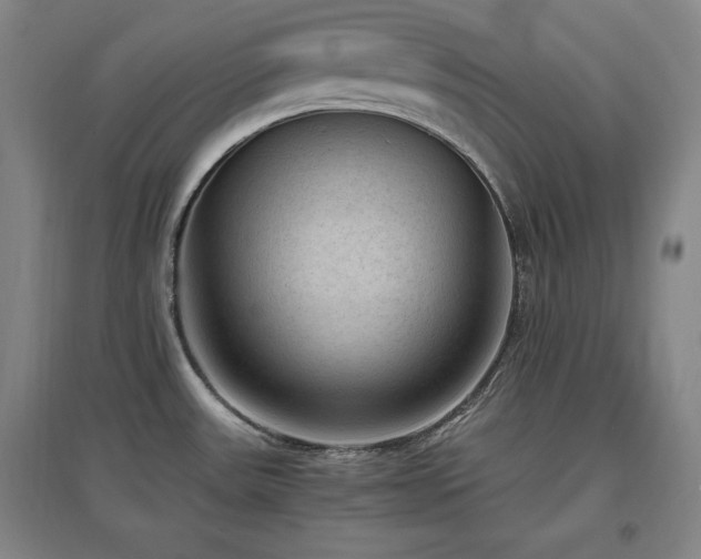 X0000097461531200802221200