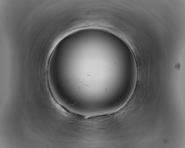X0000097461532200802221200