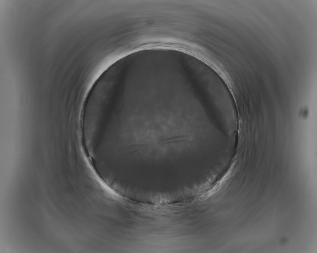 X0000097461533200802221200