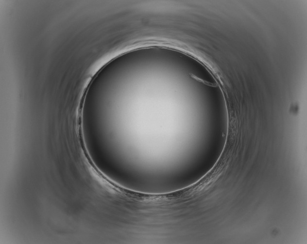 X0000097461535200802221200