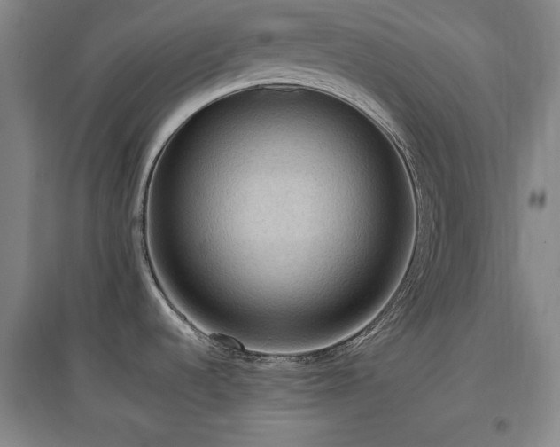 X0000097461536200802221200