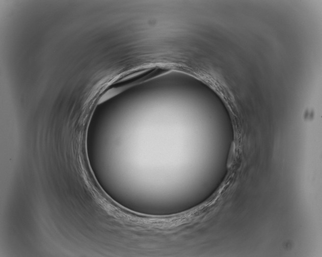 X0000097460001200802291247