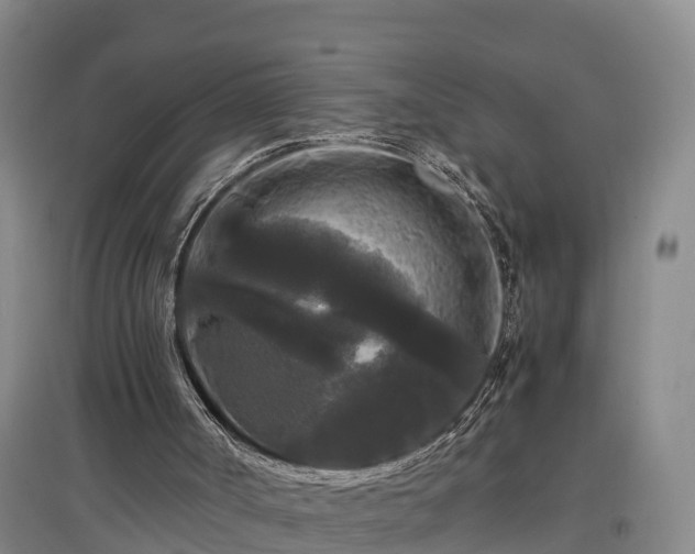 X0000097460002200802291247