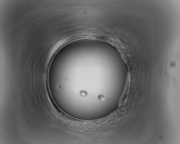 X0000097460003200802291247