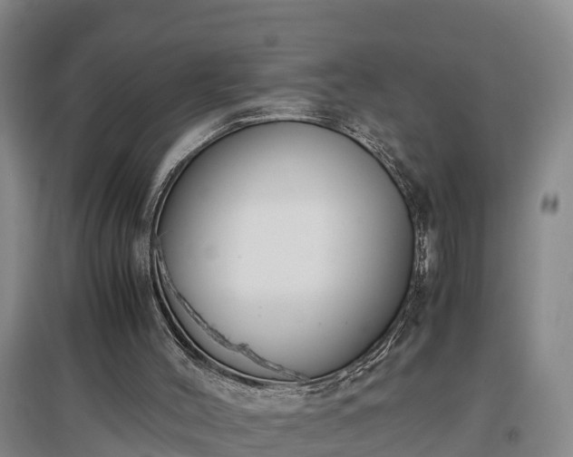 X0000097460004200802291247