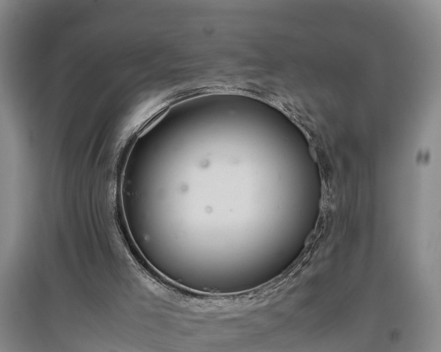 X0000097460005200802291247