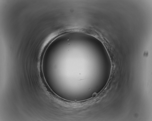 X0000097460006200802291247