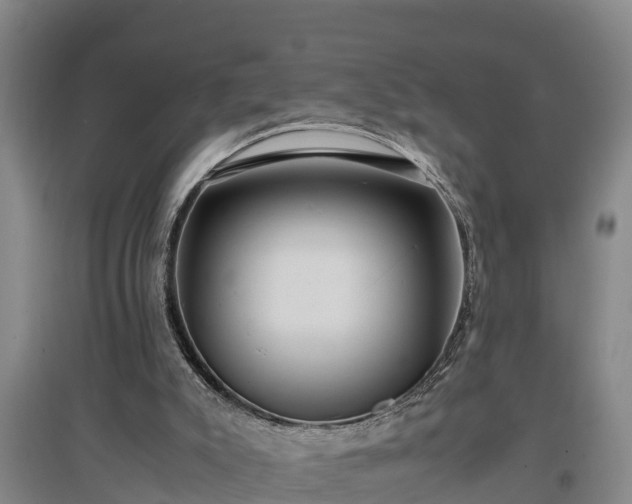 X0000097460007200802291247