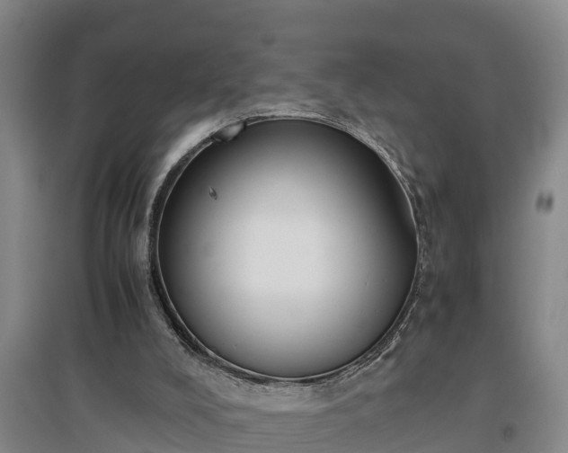 X0000097460008200802291247