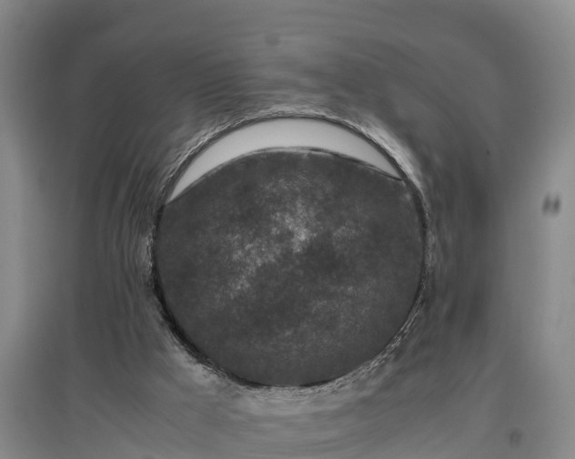 X0000097460009200802291247