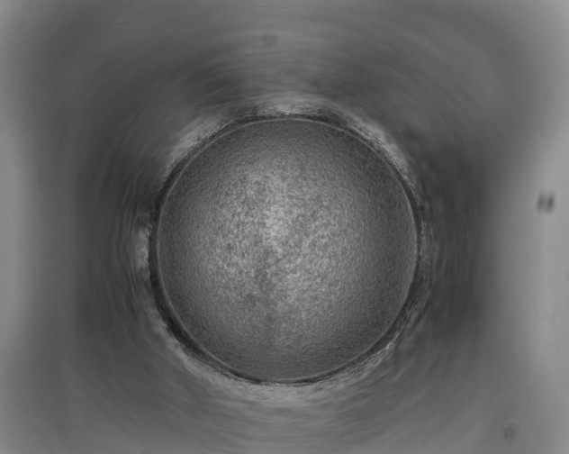 X0000097460010200802291247