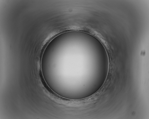 X0000097460011200802291247