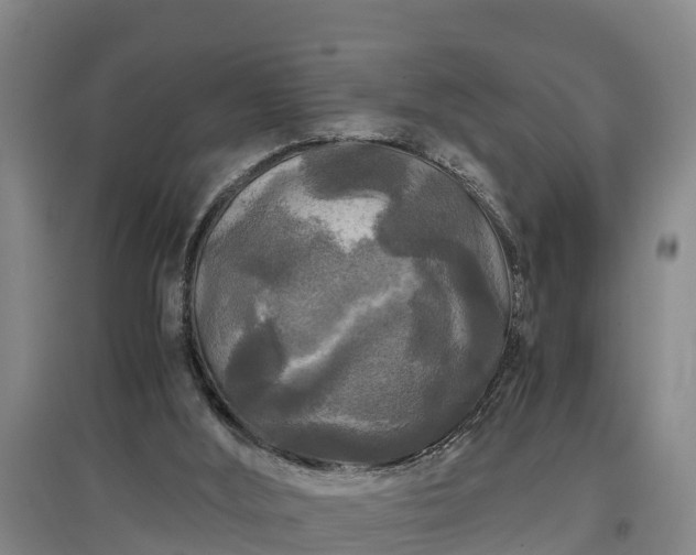 X0000097460012200802291247