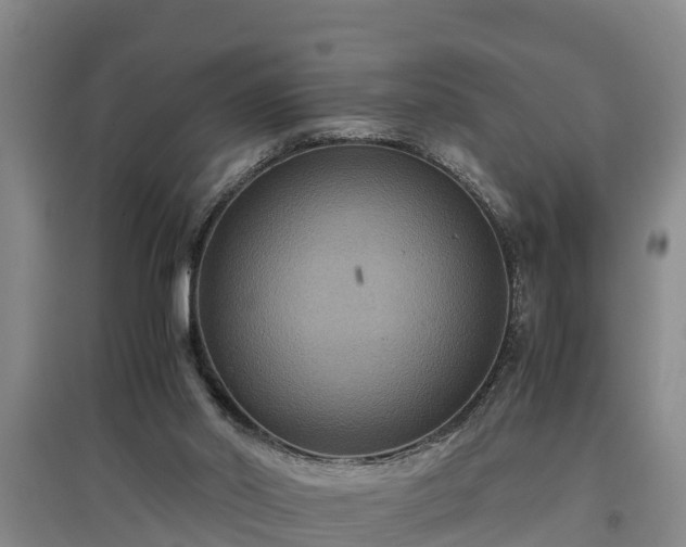 X0000097460014200802291246