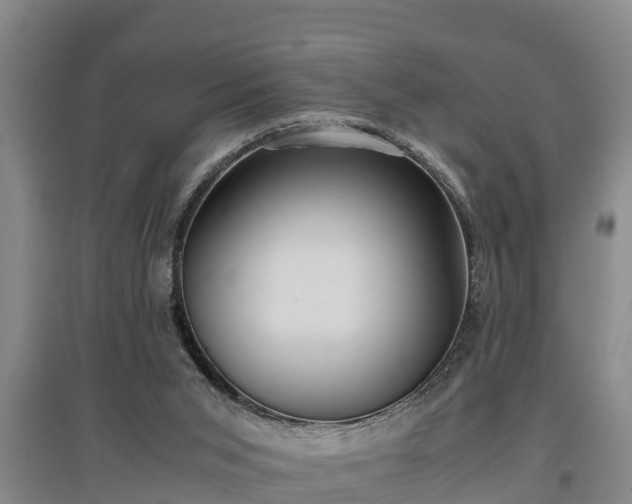 X0000097460015200802291246