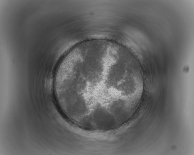 X0000097460016200802291246