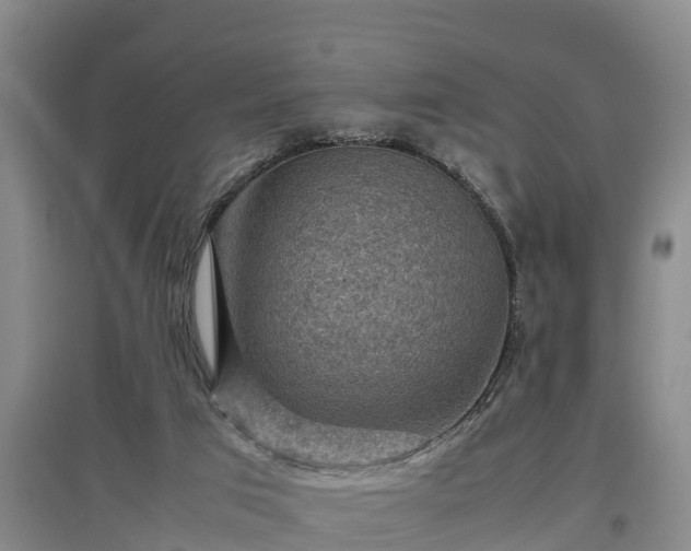 X0000097460017200802291246