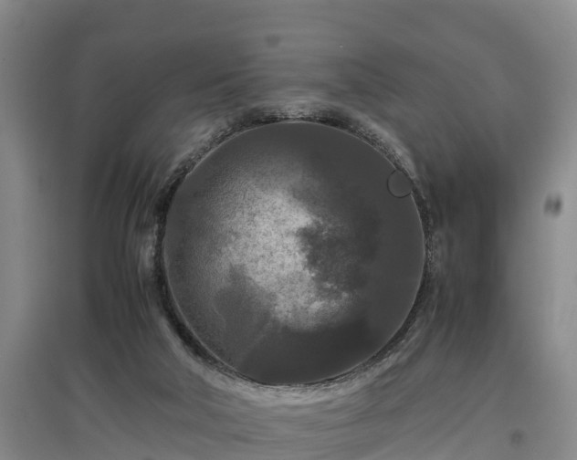 X0000097460018200802291246