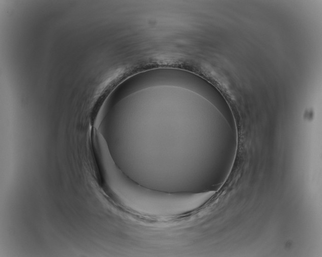 X0000097460019200802291246