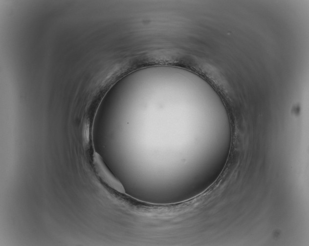 X0000097460021200802291246