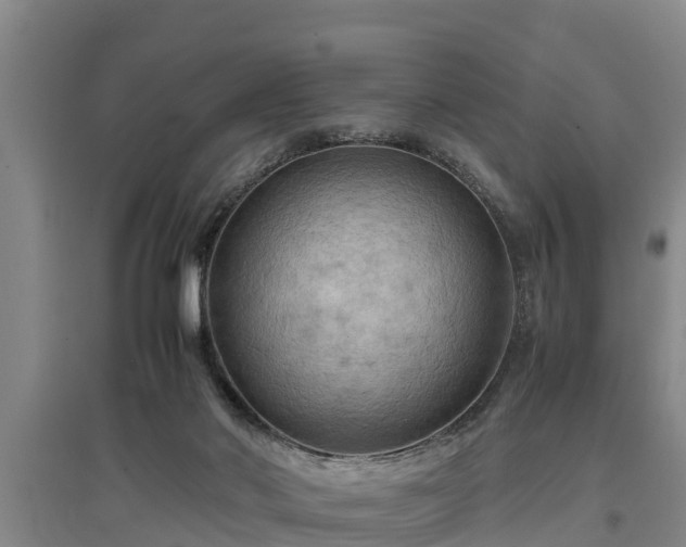 X0000097460022200802291246